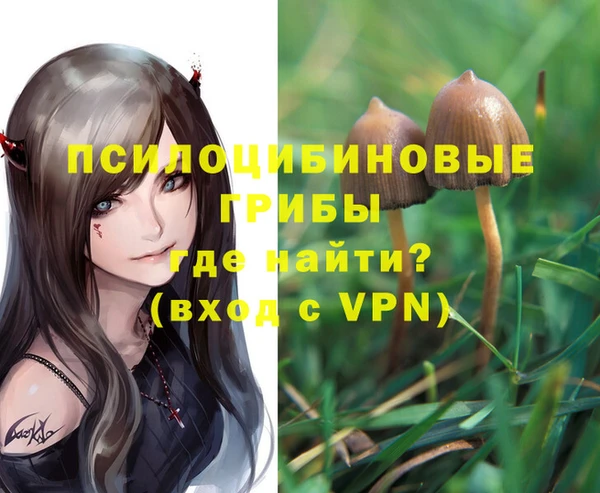 таблы Алексеевка
